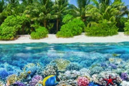 Fedezd fel a varázslatos Maldív-szigeteket