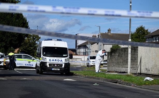 The incident happened at a house on the Rossfield Estate in Tallaght, Dublin