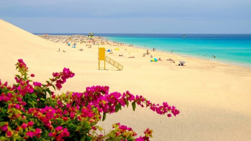 Playa de Matorral, Fuerteventura